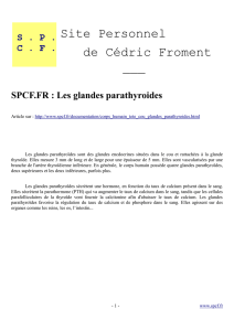 Les glandes parathyroides au format PDF