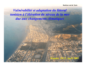 Vulnérabilité et adaptation du littoral tunisien à l`élévation du niveau