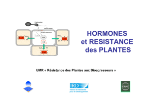 HORMONES et RESISTANCE des PLANTES