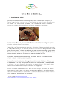 Frelon asiatique et biodiversité B78