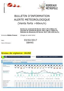 BULLETIN D INFORMATION VENTS FORTS DU 03-02