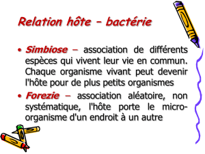 Relation hôte – bactérie