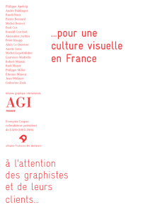 pour une culture visuelle en France