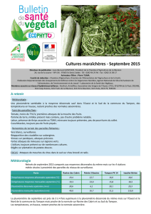 Cultures maraîchères - Septembre 2015