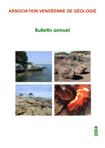 AVG.Bulletin 2004 - Association Vendéenne de Géologie
