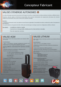 Valise d`alimentation électrique portative avec batteries Lithium ou
