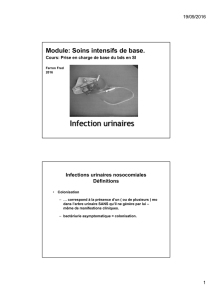 Infection urinaires
