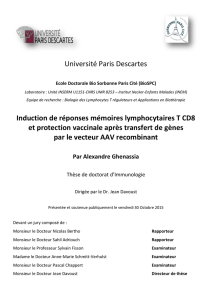 Université Paris Descartes Induction de réponses mémoires