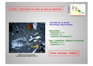 PPPPA Px Roche volcanique: Andésite TP N°4