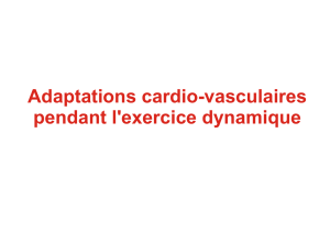 Adaptations cardio-vasculaires pendant l