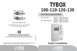 TYBOX - Delta Dore