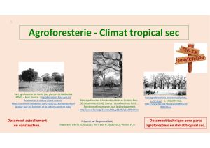 Agroforesterie - Climat tropical sec