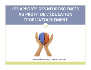 Neuroscience et attachement - École de la Moisson-d`Or