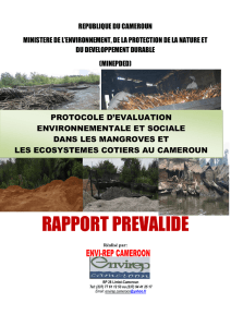 Rapport provisoire du protocole d`évaluation environnementale et