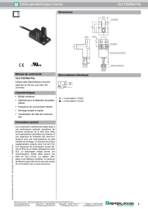 1 Cellule opto-électronique à fourche GL5-Y/25