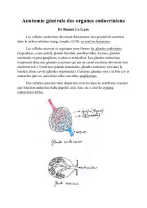 Anatomie générale des organes endocriniens Pr Daniel Le Gars