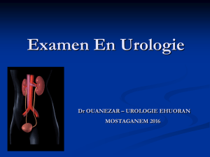 Examen En Urologie