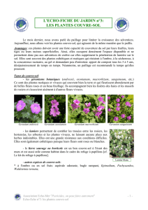 Télécharger au format PDF l`Echo-fiche n°3 : les plantes couvre-sol.