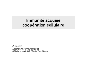 Immunité adaptative coopération cellulaire - P2 Bichat 2010-2011