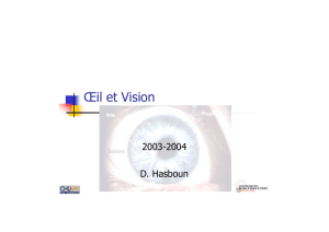 Œil et Vision - CHUPS – Jussieu