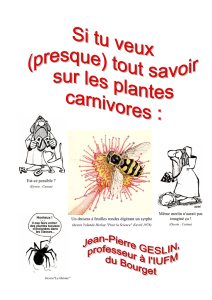 Plantes carnivores tout savoir J-P Geslin