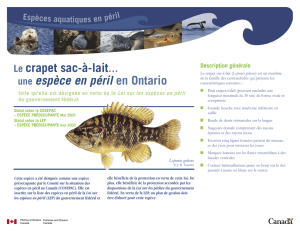 une espèce en péril en Ontario - Publications du gouvernement du