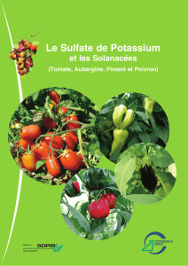 Le Sulfate de Potassium