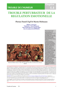trouble perturbateur de la regulation emotionelle