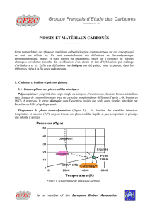 Carbone-Nomenclature-VersionPD-MM-09-06-10