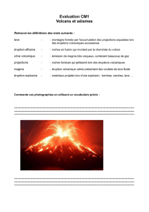 Evaluation CM1 Volcans et séismes