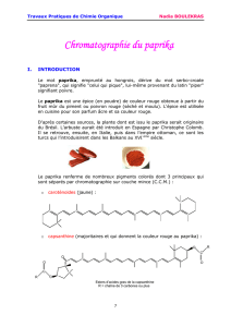 7. Chromatographie du paprika