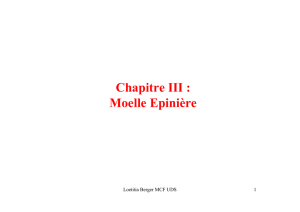 Chapitre III : Moelle Epinière
