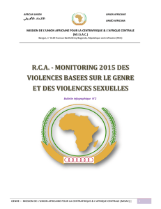 rca - monitoring 2015 des violences basees sur le genre et des