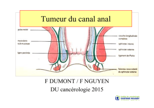 Diapos_Dumont_Canal anal2015