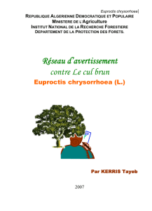 Euproctis chrysorrhoea - Hacharate