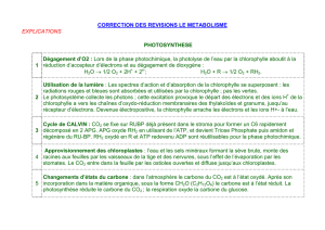 CORRECTION DES REVISIONS LE METABOLISME