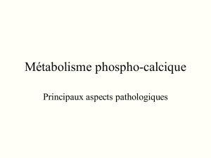 Métabolisme phospho-calcique