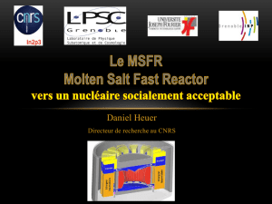 Le MSFR Molten Salt Fast Reactor