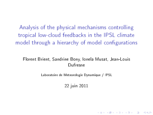 Analysis of the physical mechanisms controlling tropical low