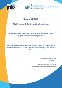 Rapport OPB 205 Modélisation de la circulation Océanique.
