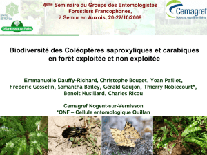 Biodiversité des Coléoptères saproxyliques et carabiques en forêt