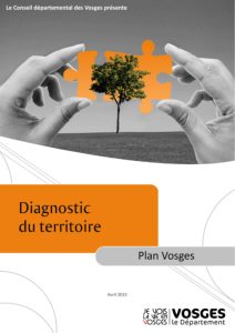 PLAN - Vosges Ambitions 2021 - Conseil départemental des Vosges