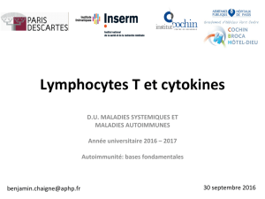 Lymphocytes T et cytokines