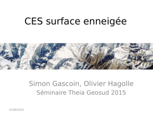 CES surface enneigée - Séminaire Theia Geosud 2015