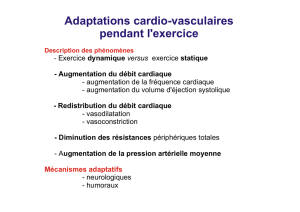 Adaptations cardio-vasculaires pendant l`exercice