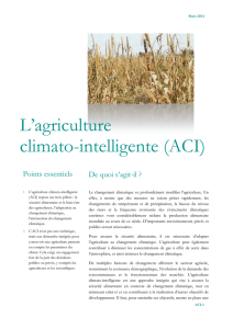 L`agriculture climato-intelligente
