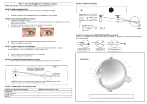 TP1 : L`œil, système optique de formation d`images