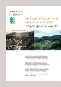 dossier_35 - Parc naturel régional des Vosges du Nord