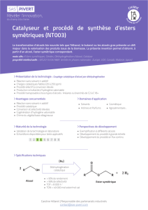 Catalyseur et procédé de synthèse d`esters symétriques (NT003)