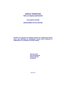 Document PDF : ESPACE TRANSITION – Vers un espace permanent